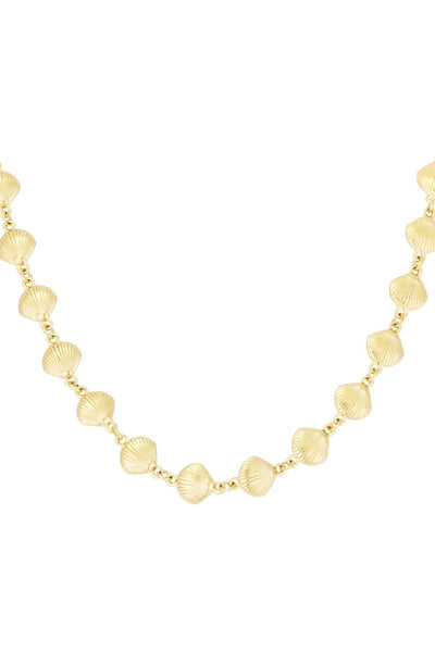 Shells gold | ketting