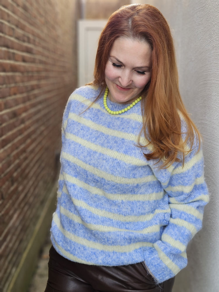 Hailey blue | Trui